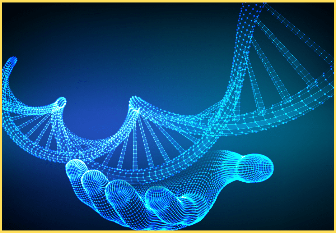 Protein Structure Prediction Report