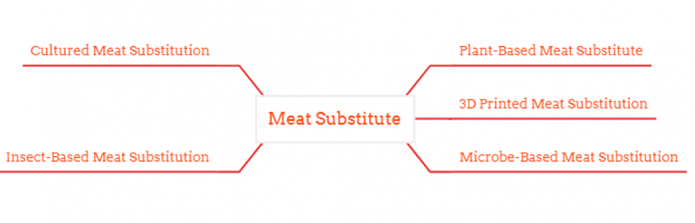 Meat Substitute