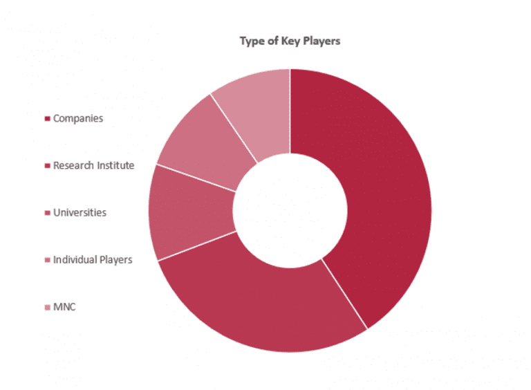 Types of Key Players - IP