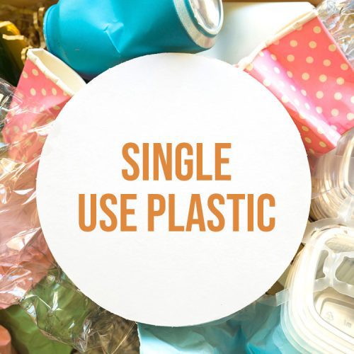 Single-Use Of Plastic – Report