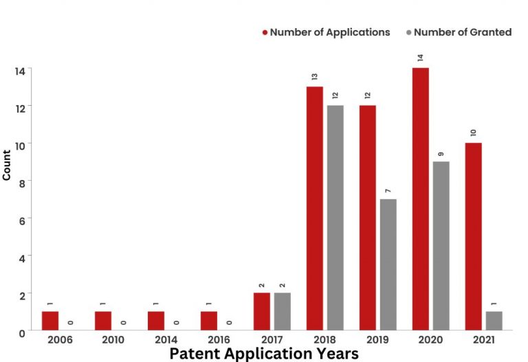 What Did The Patent Landscape of Canva  Look Like?  
