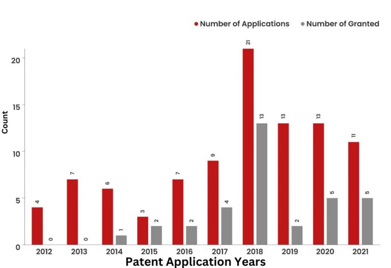 What Did The Patent Landscape of Domino's Look Like?