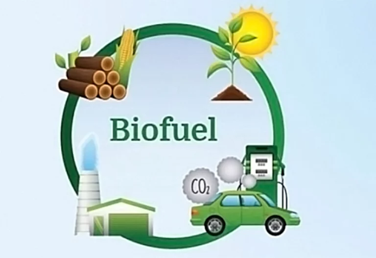 Fuelling Sustainability: Biofuel Industry's Role in a Cleaner Future