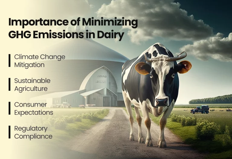 Minimizing GHG Emissions: What Dairy Giants Are Doing