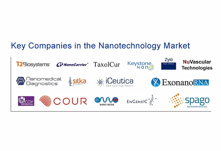 Key Companies nanotech