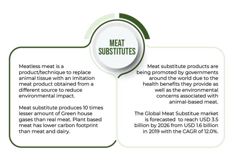 Meatless Meat Insights into Meat Substitutes Landscape