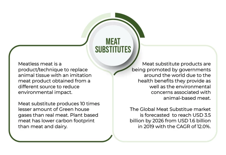 Meat Substitutes: A New Culinary Landscape  TT Consultants