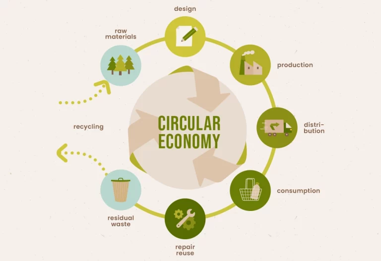 Intellectual Property in the Age of Circular Economy: Navigating New Frontiers