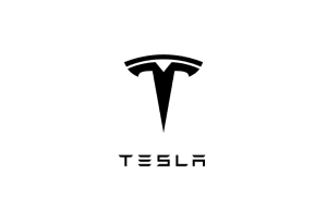 Wie sah die Patentlandschaft von Tesla aus?