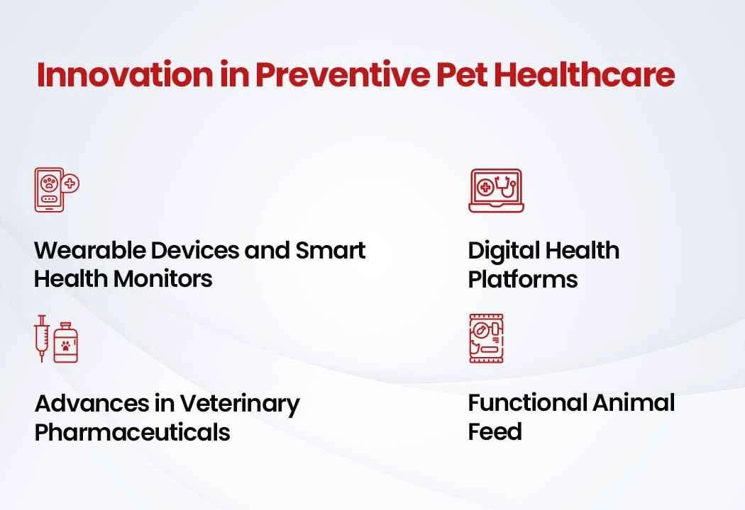 Innovation in Preventive Pet Healthcare