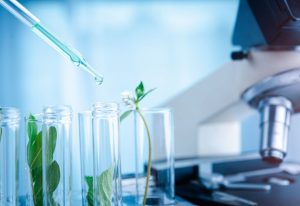 Emerging Trends in Biotech Intellectual Property | TT Consultants