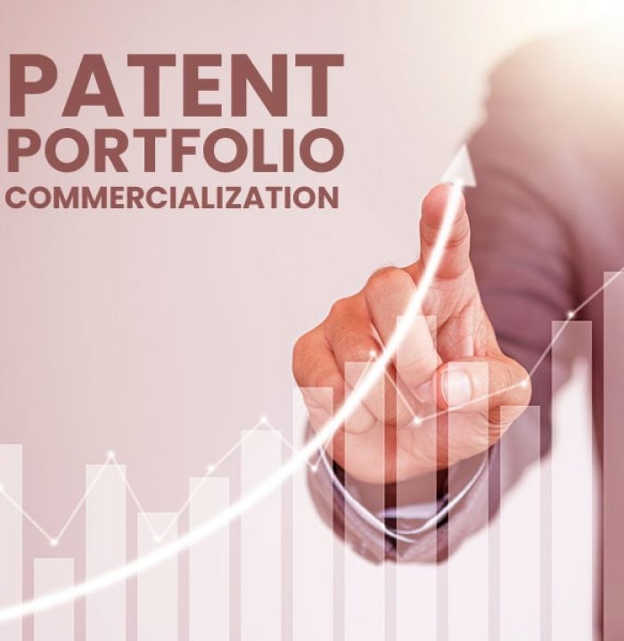 Patent Portfolio Commercialization