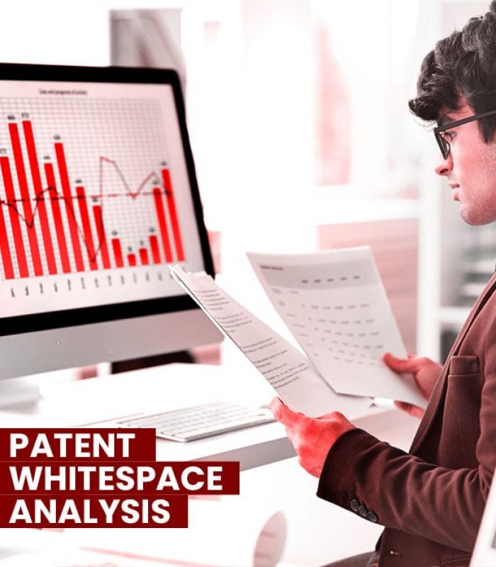 Patent Whitespace Analysis